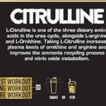 One Science Nutrition (OSN) Pure Citrulline for Boost Metabolism - 300 grams - Image 2