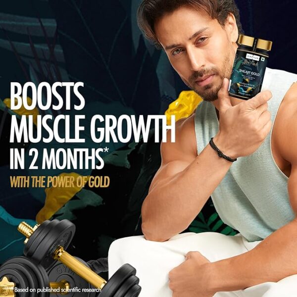 Kapiva Shilajit Gold 60 Capsules Contains 24 Carat Gold Boosts Stamina In 4 Weeks - Image 2