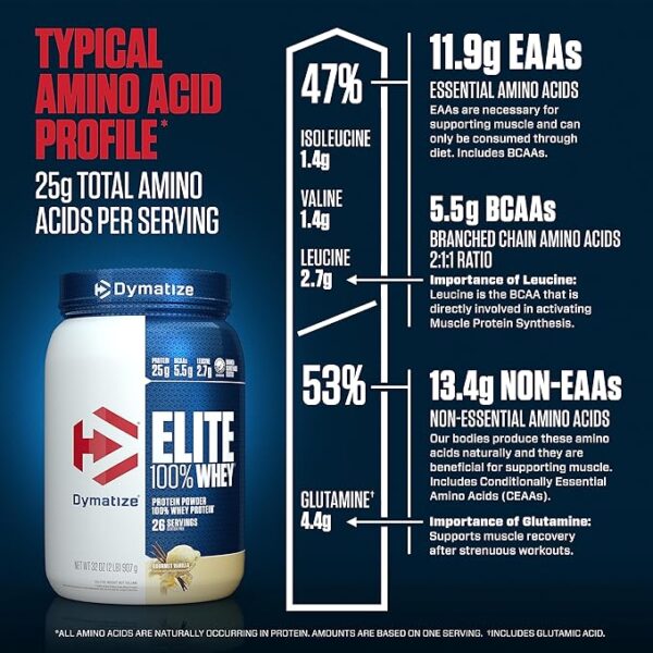 Dymatize Elite 100% Whey Protein  Post Workout 2 lbs, 907 gm, Gourment Vanilla - Image 2